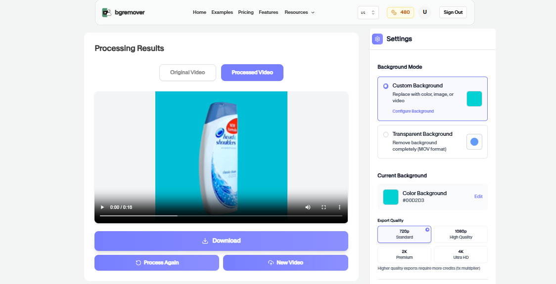 Download Processed Product Image